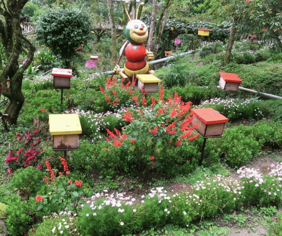 Bee Farm